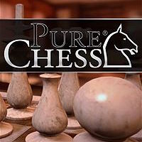 Pure Chess Grandmaster Edition Review